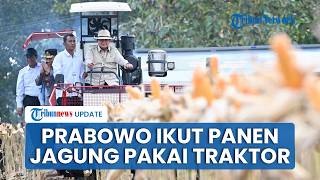 Aksi Prabowo Nyetir Traktor saat Panen Raya Jagung di Tuban, Didampingi Kapolri hingga Mentan Amran