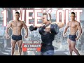 1 WEEK OUT | ABS & SHOULDER WORKOUT | PHYSIQUE UPDATE