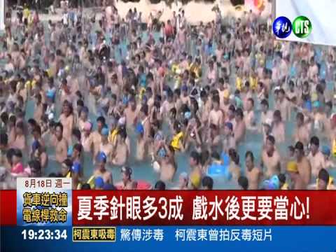 夏季針眼多3成 戲水後更要當心!