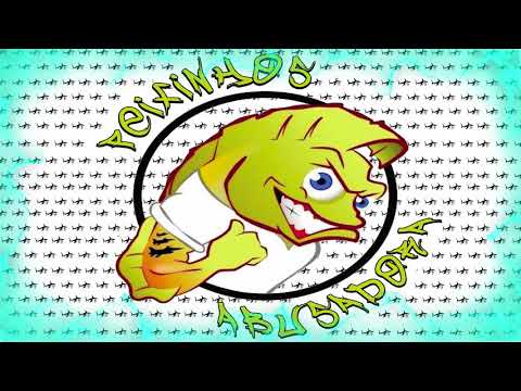 Mc Cassio GVP.X - Rap da GVP