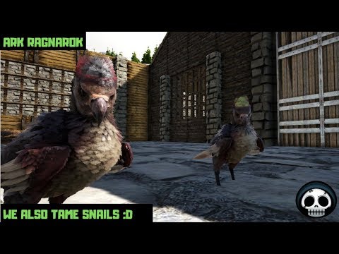 Breeding For Better Argentavis! Ark Ragnarok Part 27
