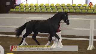 Video af Fürst Friedrich