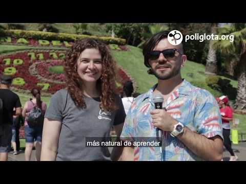 Poliglota en Viña del Mar