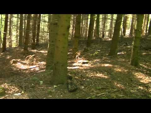 MongoTV_558 - Del 13 - Sensommer Gåtur Frederiksdal Storskov Torsdag 20.August 2015