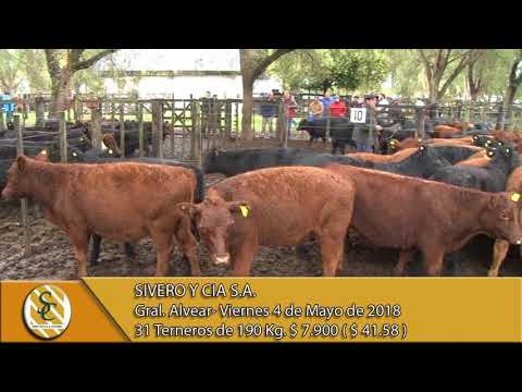 04-05-18 Venta de Machos - Sivero y Cia S.A. - General Alvear.