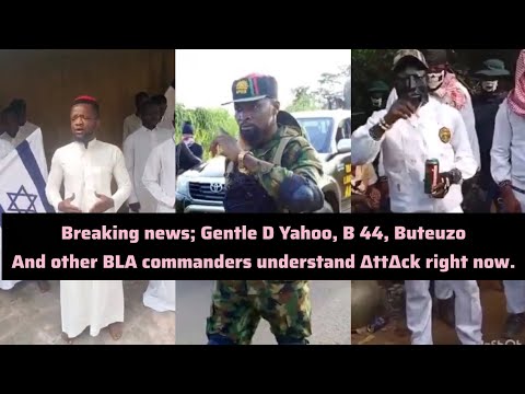 Breaking news; Gentle D Yahoo, B 44, ButeuzoAnd other BLA commanders understand ∆tt∆ck right now. 😭
