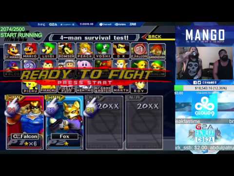 Mango's falcon on a tuesday