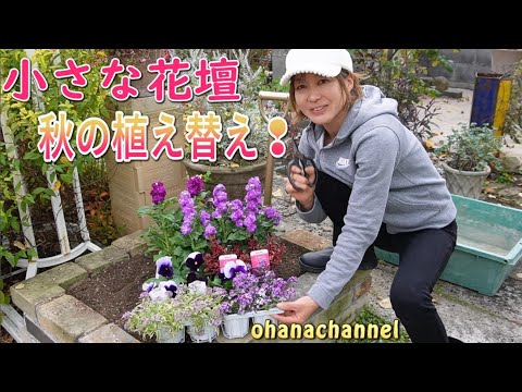 テキサスセージ、アスター、ツツジ…春の花畑のために10月に植える最も美しい多年草8選  庭園