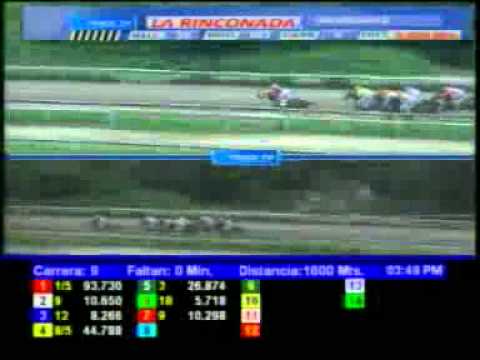 9NA CARRERA DOM 06 MAYO 3V GRAN PREMIO UNICRTA HEMBRAS 2012 LA RINCONADA AUDIOHIPISMO