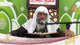 النور الساري ـ البخاري ( 231 ) باب الرجل يأتم بالإمام ويأتم الناس بالمأموم ـ الشيخ مصطفى العدوي