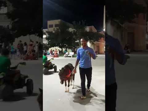 Santa Inês do Maranhão.  praça da matriz.  jesiel homem de Deus.  em busca do Railton dos Santos R.