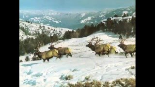 Winter - (Tori Amos Tribute Version)