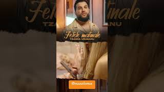 Download lagu Fete matinale #tzancauraganu #manele #muzica #live #foryou #fy #fypシ #viralvideo #5pasidebine #roman mp3