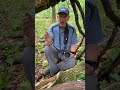 Chasing Mushrooms