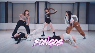 Cardi B - Bongos (feat. Megan Thee Stallion) : Gangdrea Choreography #cardib #bongos [부산댄스학원/서면댄스학원]