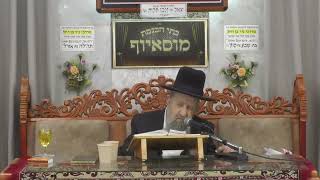 הרב בן ציון מוצפי • פרשת אמור • אייר תשפ"ו
