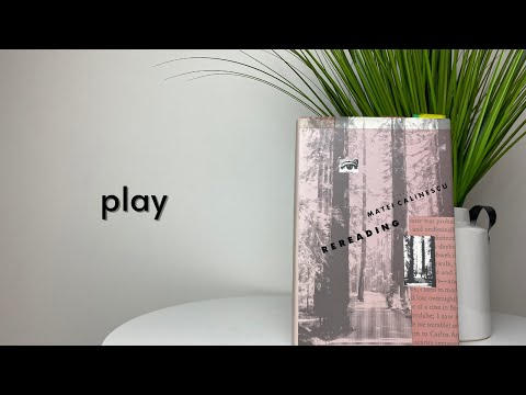 WDWRF 06 - Matei Calinescu - Re-Reading & The Ludic Impulse