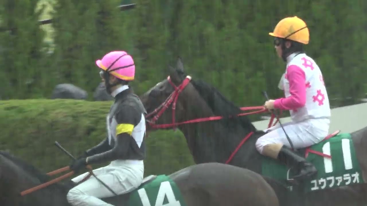 【チャーチルダウンズカップ2026】アスクイキゴミが2戦目で重賞初制覇‼ウイニングラン 現地映像