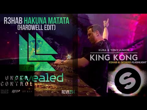 King Kong vs. Hakuna Matata vs. Under Control (Hardwell Tomorrowland 2015 Mashup) [2022 Remake]