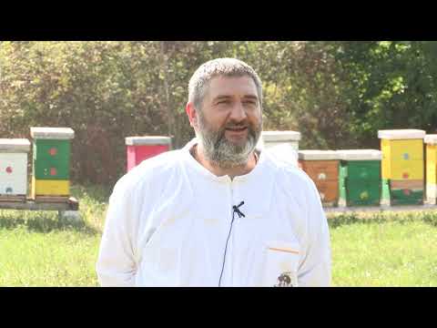 Boja meda ep. 184 14.09.2021. Analiza medobranja, komunikacija među pčelama, proređivanje košnica