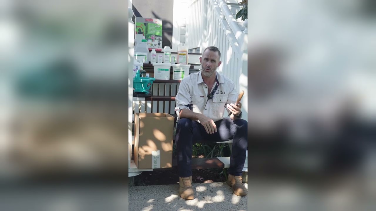 A Little Bit of Our Story