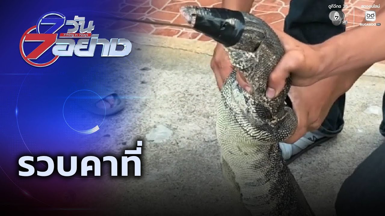 รวบคาที่ | 7 วัน 7 อย่าง