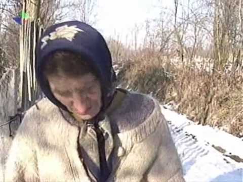 JocaCira’s Video 38056112045 O9sBpQpGf2g