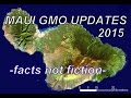 MAUI HAWAII GMO UPDATES - FACTS NOT ...