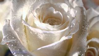 GHEORGHE ZAMFIR - White Christmas