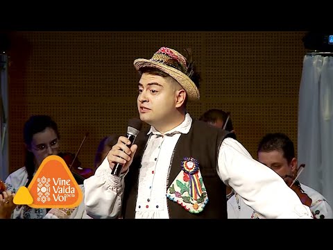 Daniel Pop - Horile m-o dus prin lume (Live)