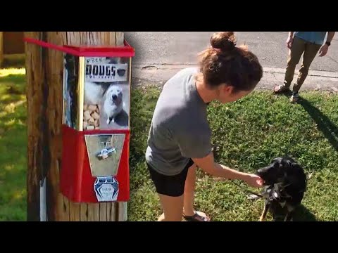 Free Dog Treat Machine Set Up by Work-From-Home Dad