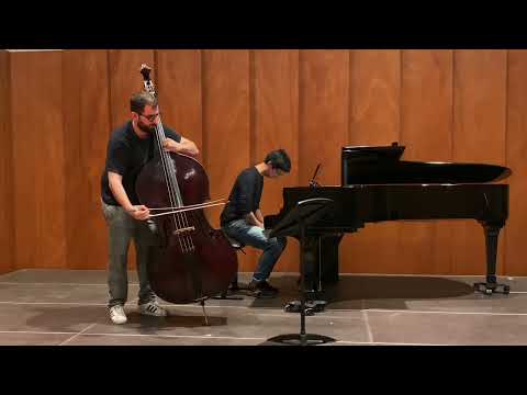 Vanhal Double Bass Concerto in D Major // Joaquin Arrabal // @jorgenavapiano