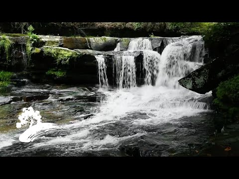 Best of Green Hill Music - The Bluegrass Collection [Visualizer]