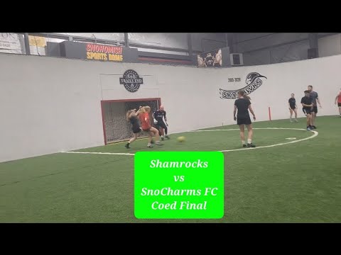 Indoor Soccer Coed Final Game!!!   💯 Pure Talent Must watch!!!!