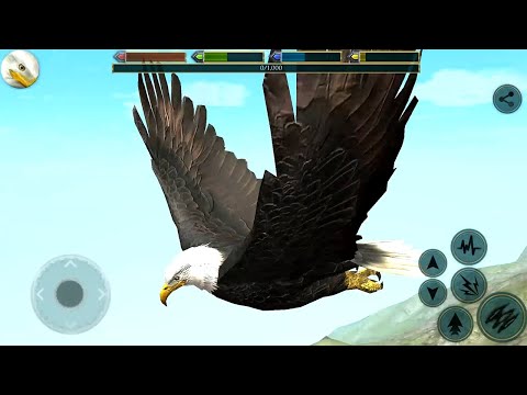 Ultimate Bird Simulator Android Gameplay - YouTube