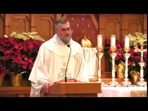 Jan 26 - Homily: Timothy, Titus and the Apostolic Church