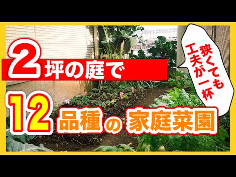 狭い家庭菜園のアイデア トピックス