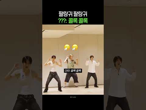 타이밍이 너무 절묘한 코르티스 마틴 기침 타이밍 #코르티스 #cortis #건호 #마틴 #주훈 #성현 #제임스 #레드레드 #redred