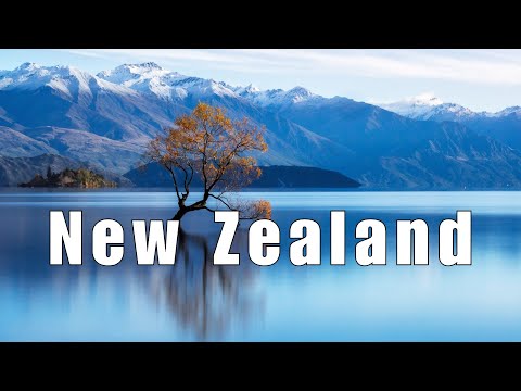 New Zealand in 3 Minutes: A Scenic Highlights Reel