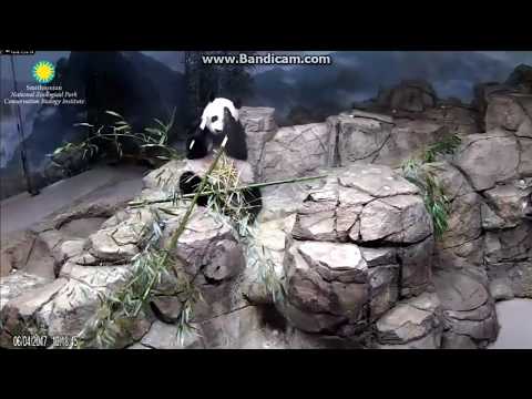 2017.06.04 #28th# MEI XIANG - THE QUEEN IS EATING