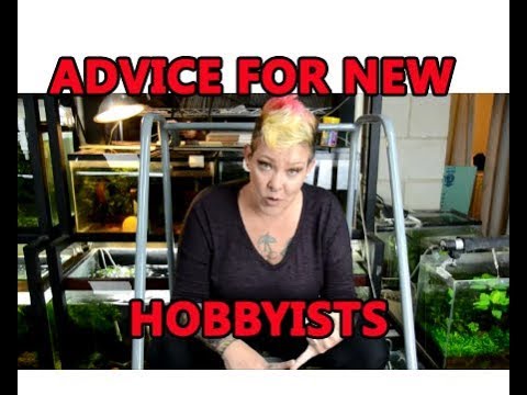 Jenna Marbles Got Fish! Advice for New Hobbyists