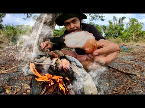 Solo FISHING Catch and COOK on a ROCK | Y3E29