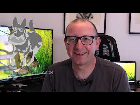 Schutzdienst und kein Helfer? Auf geht´s : trau dich