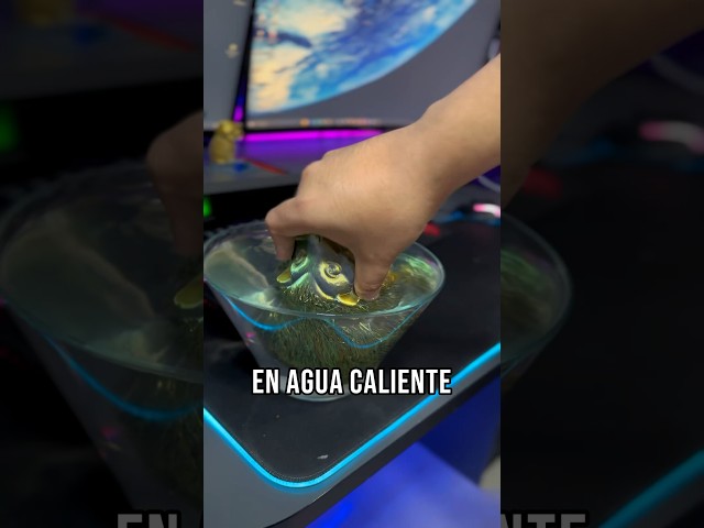 Vídeo relacionado con Bloque térmico avanzado para aplicaciones profesionales de impresión 3D y fabricación de modelos