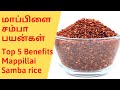 Top 5 Benefits மாப்பிளை சம்பா அரிசி பயன்கள் Red Ri