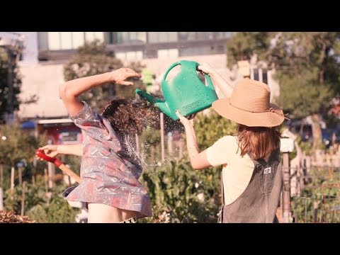 Grow a Garden - Formidable Vegetable (Official Permaculture Music Video)
