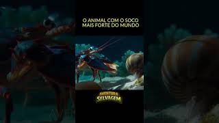 LAGOSTA BOXEADORA  -  Esse Pequeno Animal é Extremamente Letal