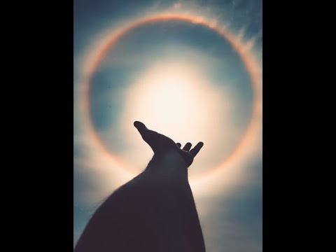 NK WYVERN - SPIRITUAL DUB 1