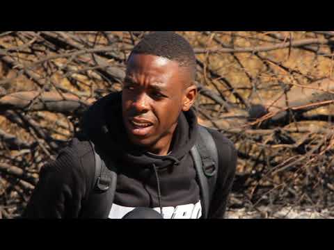 Bobo Sway  Music Video