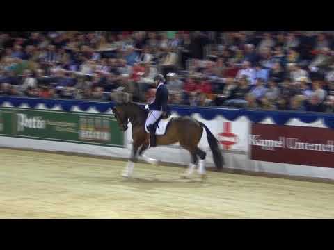 BACCARDI & Claudia Rüscher - Hengstschau Münster 2015